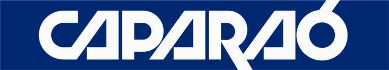 grupo_caparao_PANTONE___295_